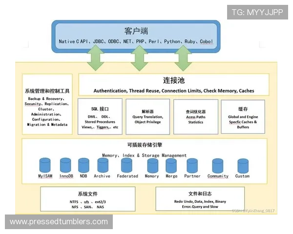 优化PA入口的使用流程提升工作效率和数据管理水平
