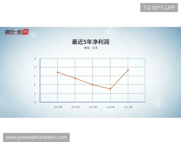 兴发真人的未来发展规划及市场布局前景展望与战略分析