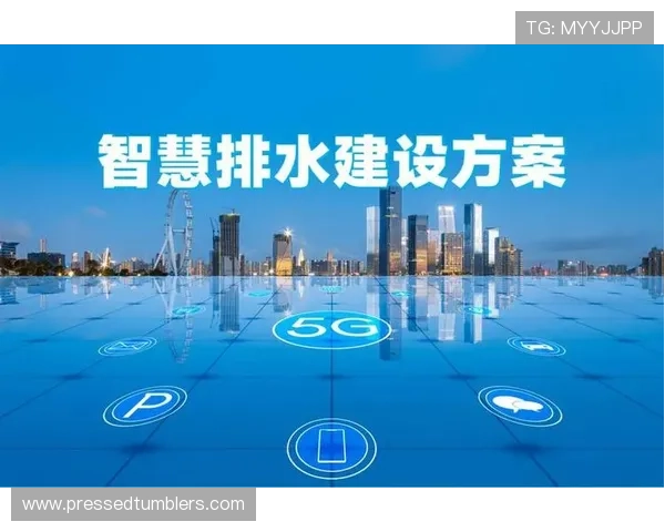 详尽解析ag视讯贵宾厅网址的安全验证流程，保护您的账户安全