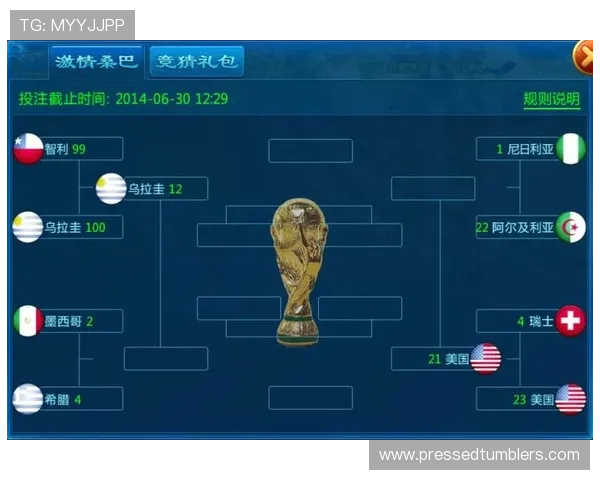 2026年世界杯投注流程指南，如何正确参与各类竞猜玩法